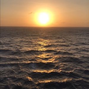 Meet your Posher, Ellen